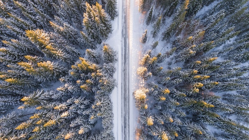 Winter Snow